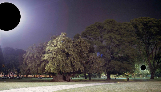 Buenos Aires mon amour